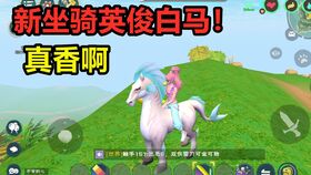平民玩家也能飞!探索《创造与魔法》中的飞行坐骑大全 1