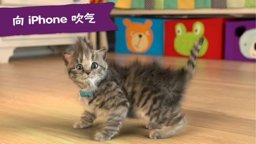 猫咪弹木琴中文版 截图3