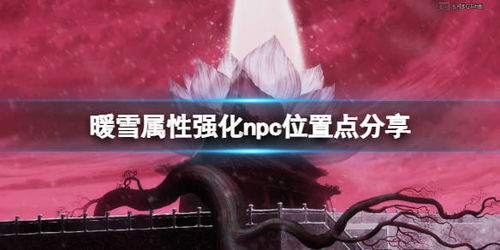 《揭秘〈暖雪〉中的神秘三尸慈秘籍》 1