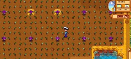 星露谷物语:高效赚钱秘籍大公开! 4