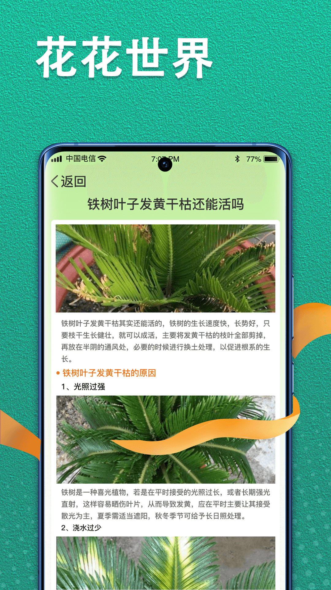 植物视界 截图2