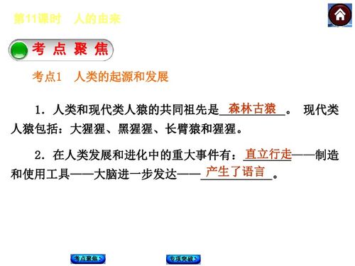 探索现代类人猿的奇妙世界 1