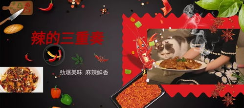 《百味食光》:打造完美招待客人的美食攻略秘籍 2