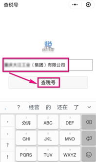 怎样可以查询到税号？ 3