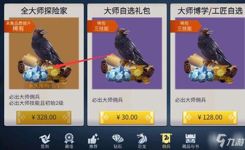 揭秘:如何获取冰原守卫者中的珍稀特殊佣兵——探险者? 4