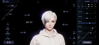 《以闪亮之名》冷白开捏脸数据ID在哪里找？ 1