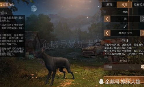 《明日之后》游戏初体验:如何挑选开局伙伴——狗狗选择指南 2