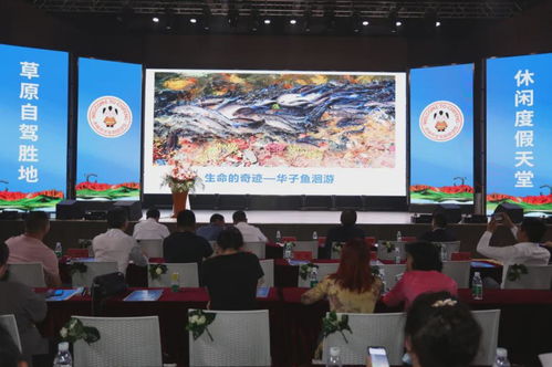 《梦境食旅》中如何获得星月红毯? 2