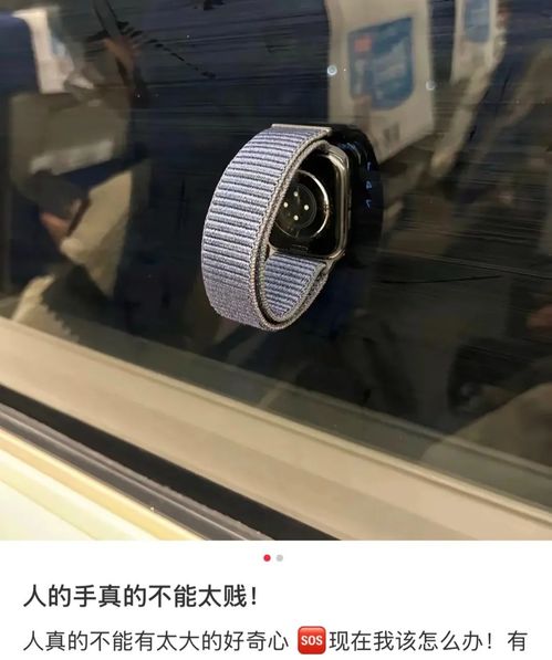 揭秘：赛博灯泡的真正含义是什么？ 4