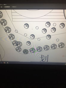 揭秘:如何选择最适合的树木种类 2