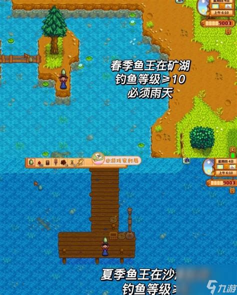 《星露谷物语》鱼塘鱼王培育策略指南 2