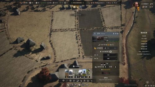 《庄园领主》深度贸易玩法全解析 4