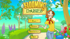 盛开的雏菊中文版 