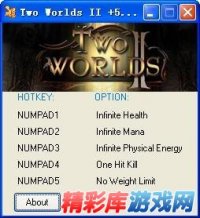 两个世界2五项修改器 