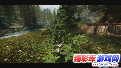 大玩唯美風絢麗逼真《上古卷軸5》花草MOD展示 2